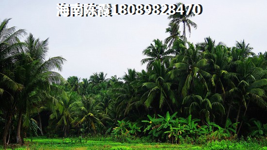 27層怎么選樓層 白沙縣買房選樓層有哪些注意事項 